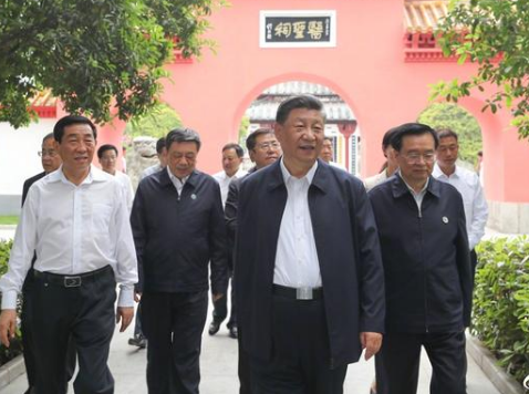 习近平：进一步发展中医药